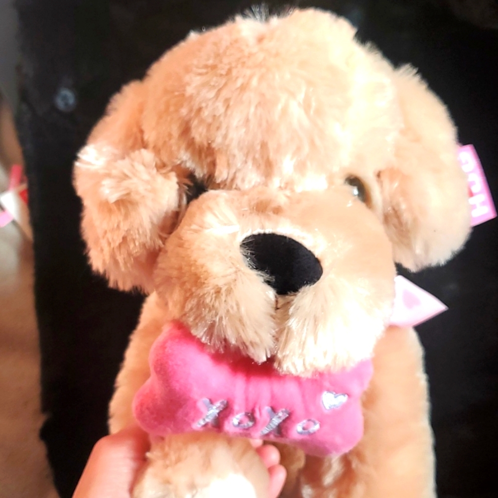🐶 ULTRA CUTE PUP 🐶 - Picture 1 of 8